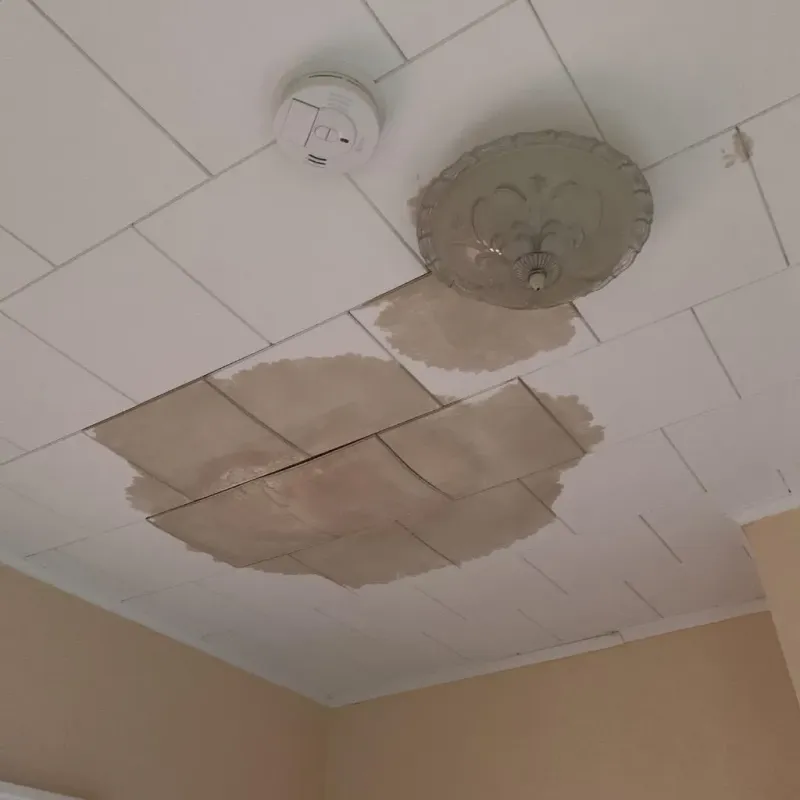 Ceiling Water Damage Repair in Williston, ND