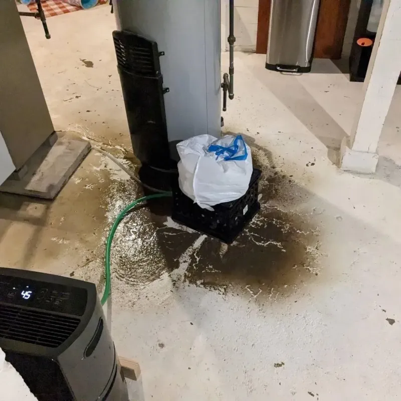 Sewage Backup Cleanup Service in Williston, ND